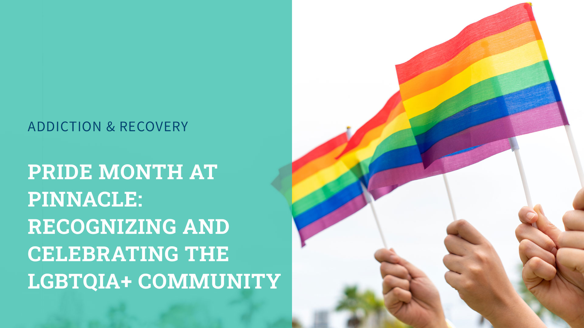 Pride Month at Pinnacle: Recognizing and Celebrating the LGBTQIA+ Community